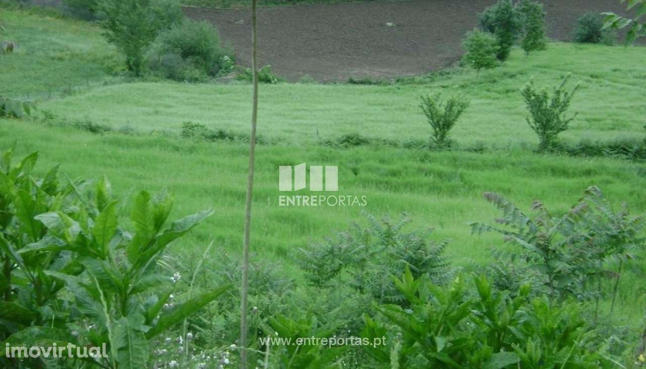 Venda Terreno, Freixo de Baixo, Amarante - Grande imagem: 3/9