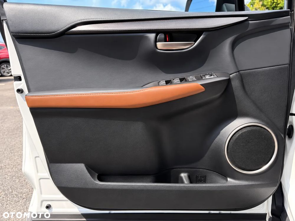 Lexus NX - 19