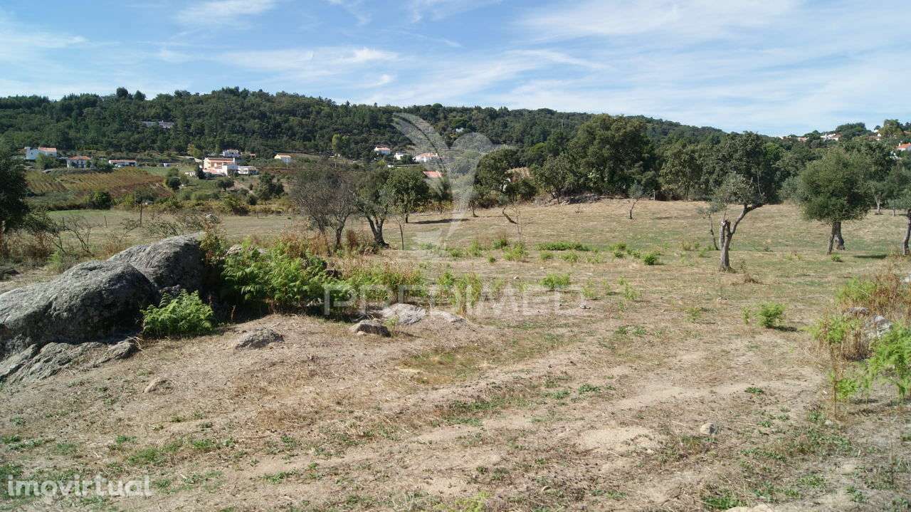Terreno Rústico Reguengo- Portalegre - Grande imagem: 4/20