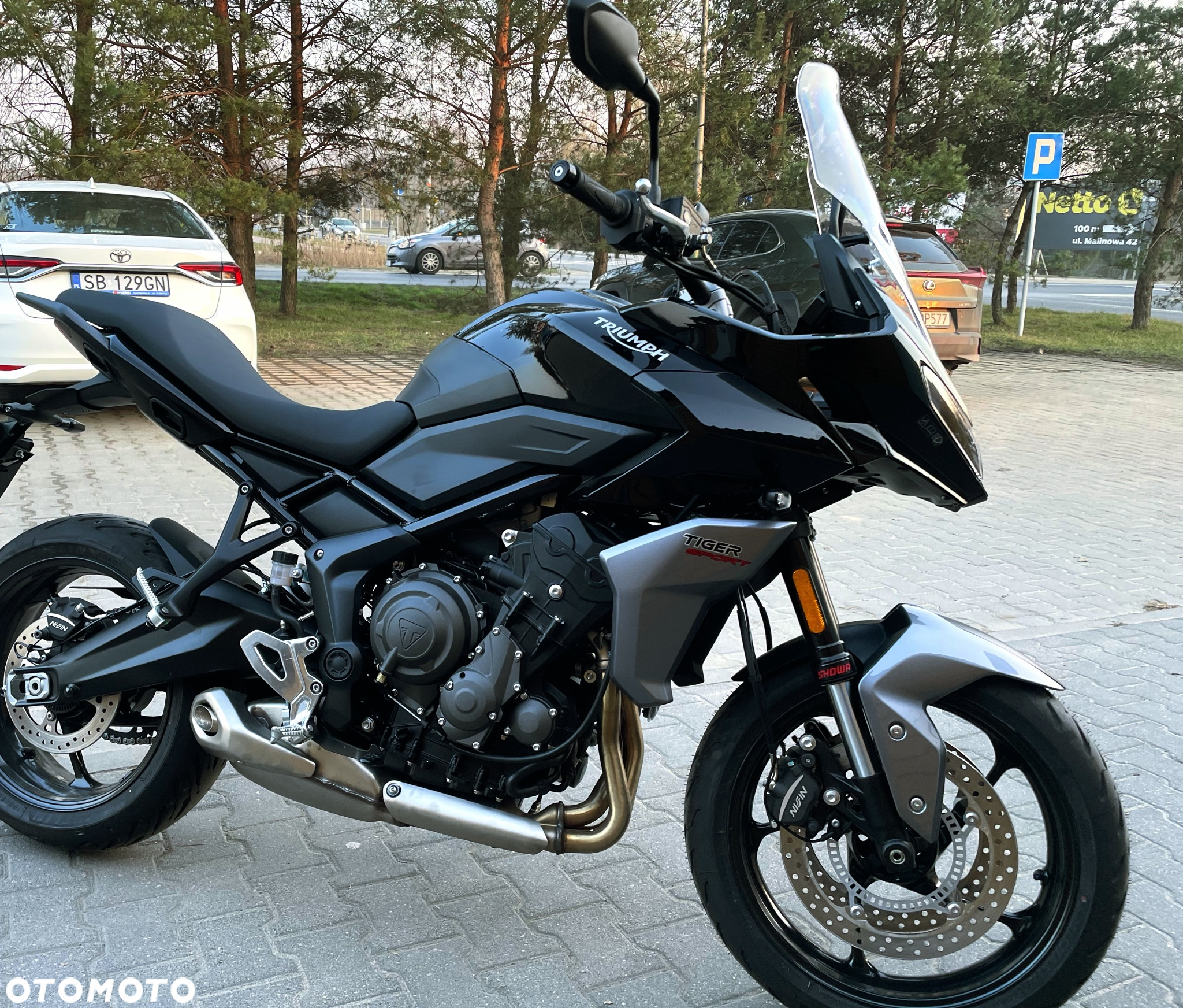Triumph Tiger - 4