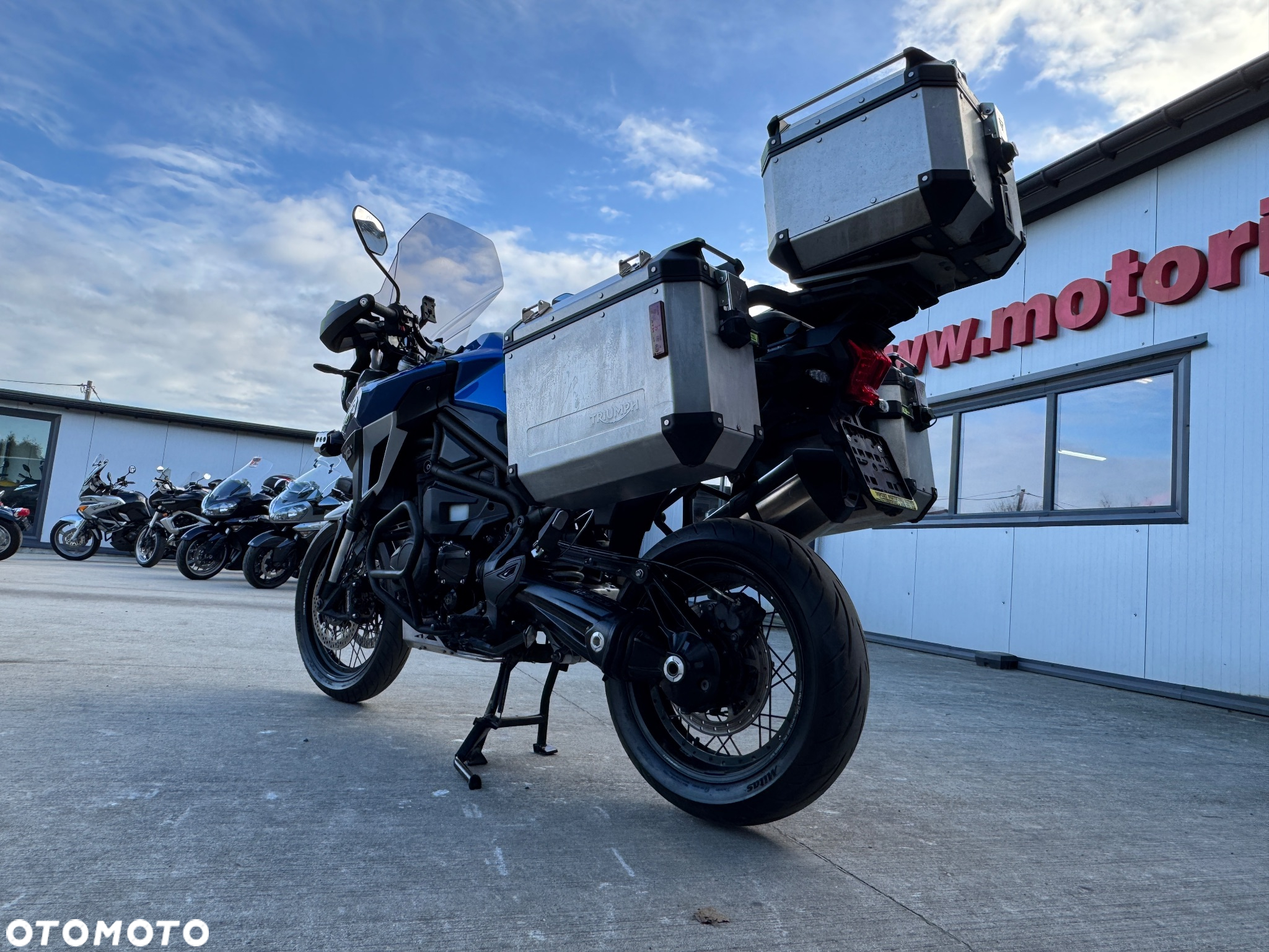 Triumph Tiger - 28