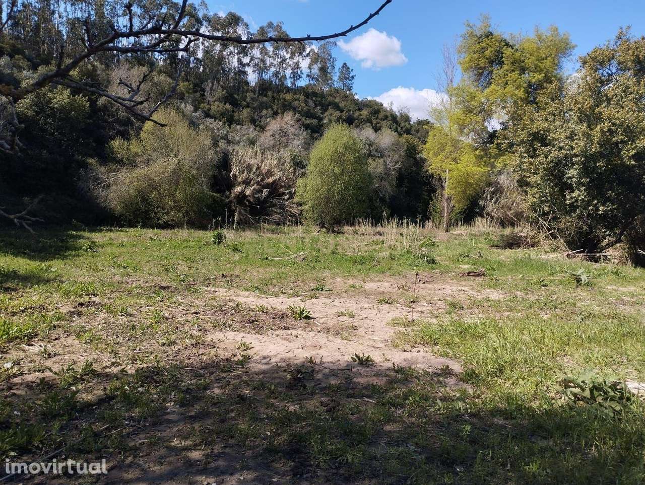 Terreno em Almoster - Santarém - Grande imagem: 3/5