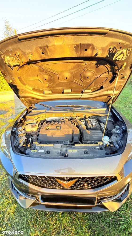 Cupra Formentor 1.5 TSI DSG - 22