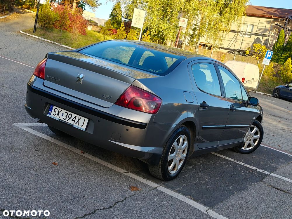 Peugeot 407 2006 photo 3