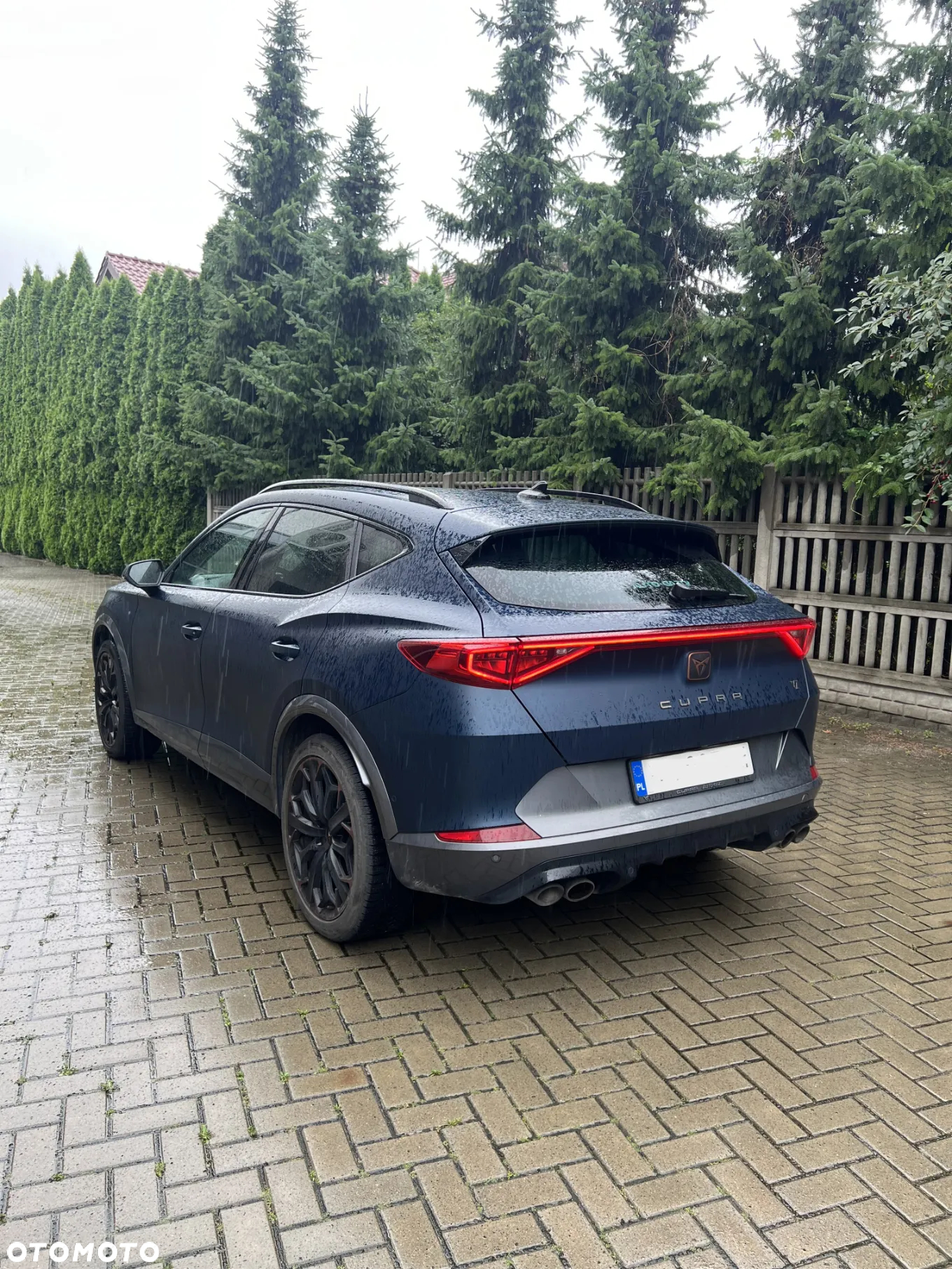 Cupra Formentor 2.0 TSI 4Drive VZ DSG - 6