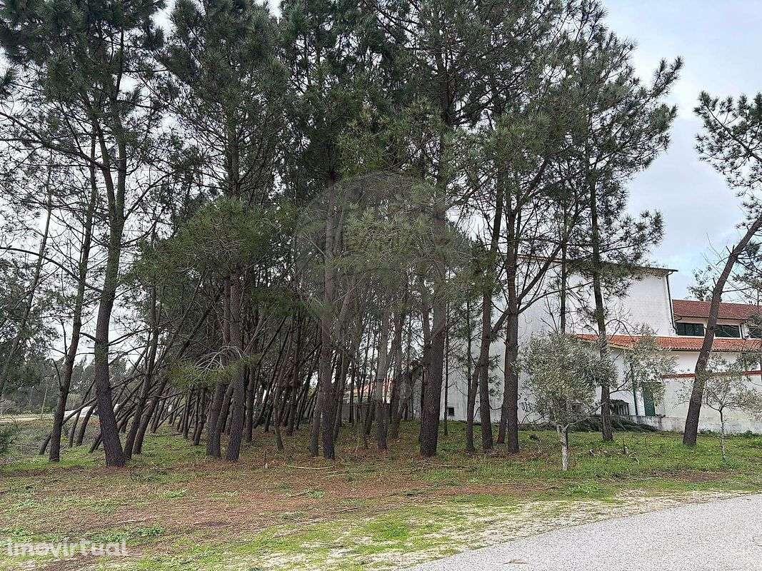 Terreno  para venda - Grande imagem: 3/10