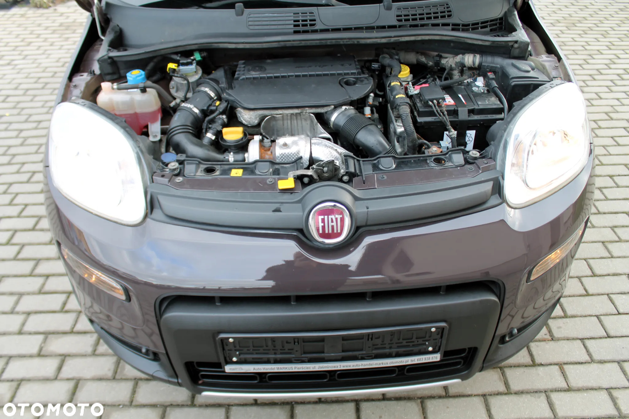 Fiat Panda 1.3 Multijet 4x4 Diesel DPF Climbing - 20