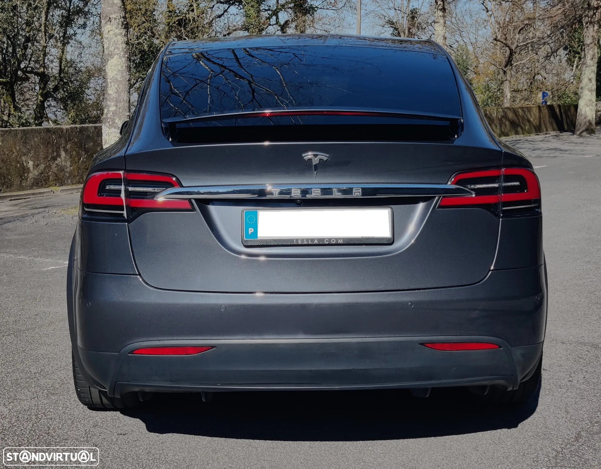 Tesla Model X Ludicrous Performance - 10