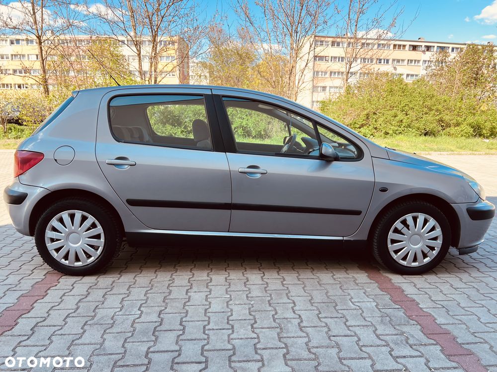 Peugeot 307 2.0 HDI Mistral - 9