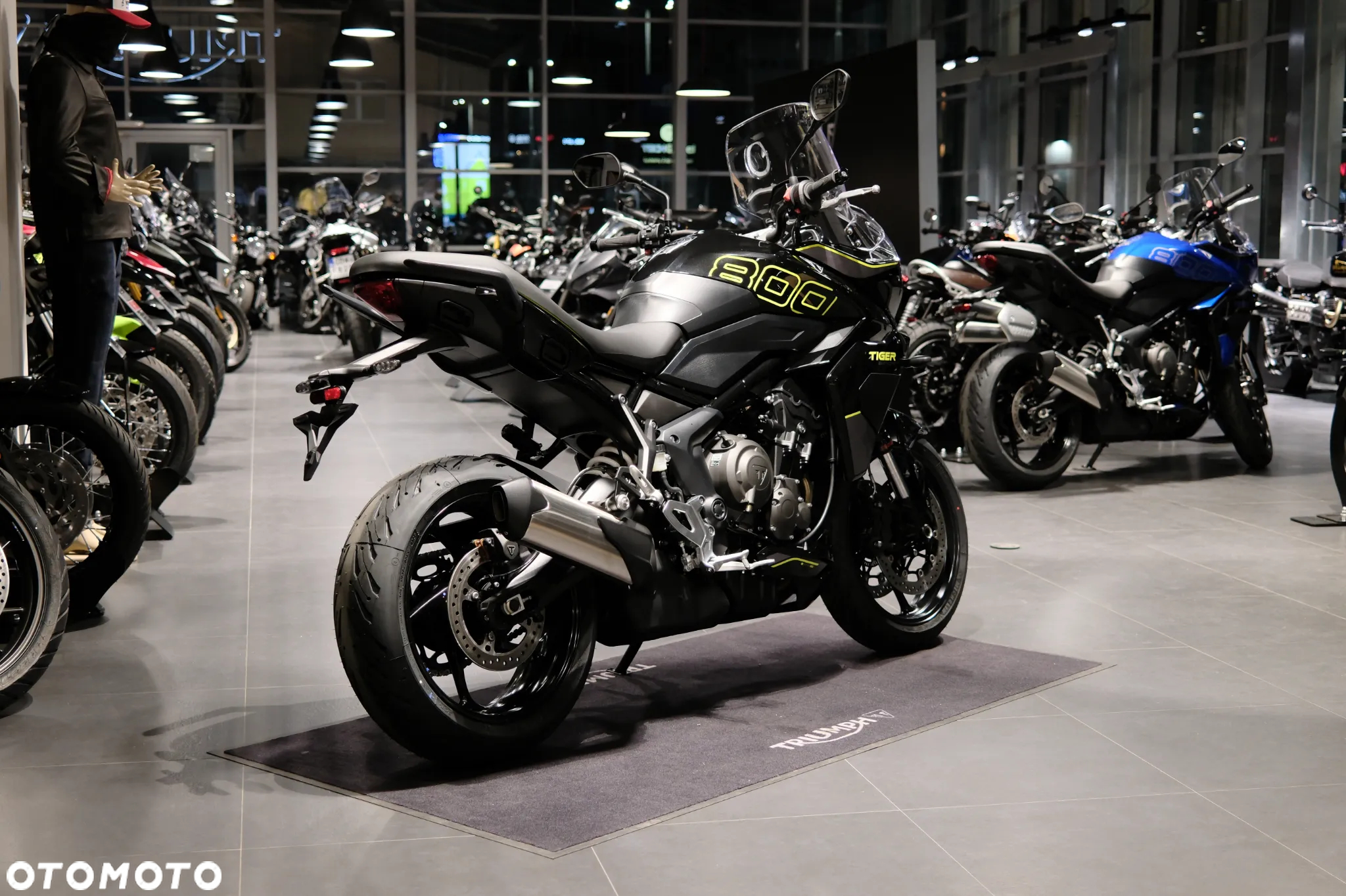 Triumph Tiger - 14
