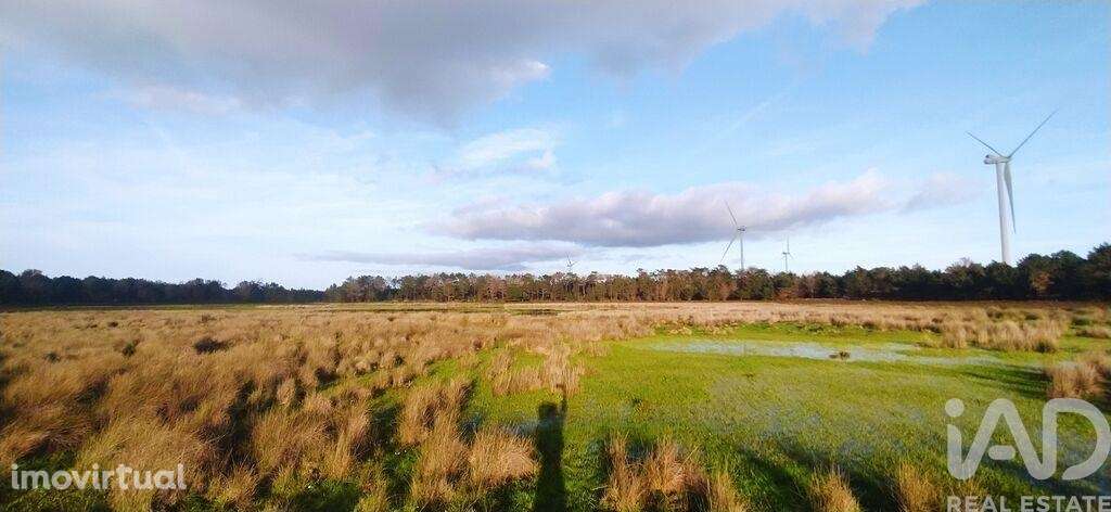 Terreno T1 em Vila do Bispo e Raposeira de 17850,00 m2 - Grande imagem: 2/8