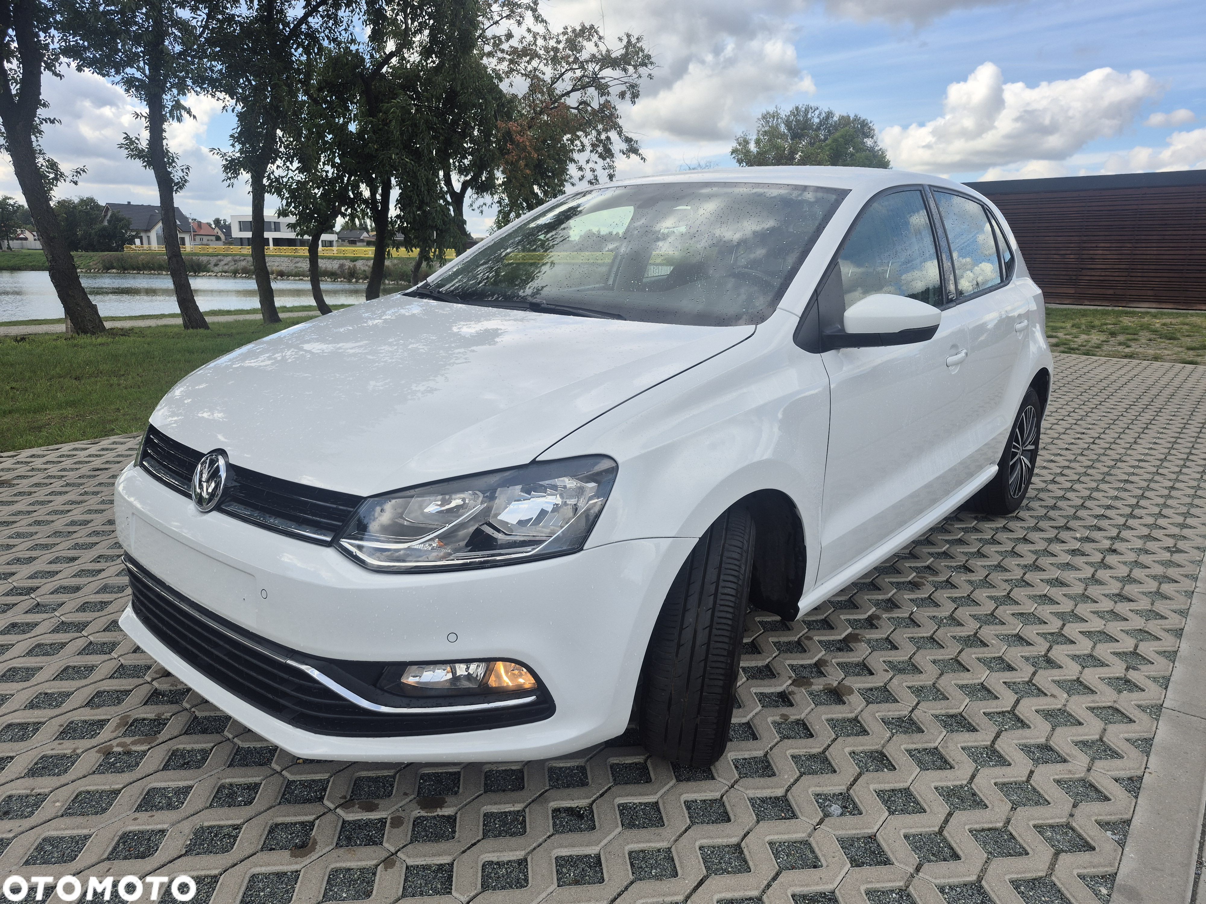 Volkswagen Polo - 1