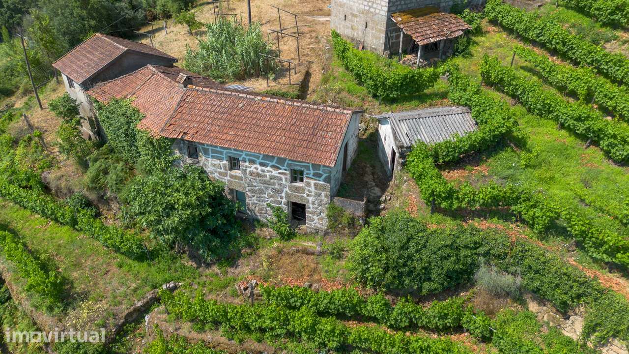 Quintinha com 2 casas em pedra para recuperar + 2 terrenos com vinhas- - Grande imagem: 3/39