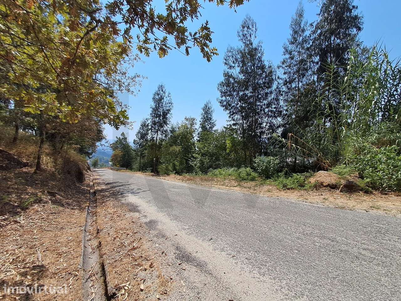 Terreno em Aboadela com capacidade construtiva - Grande imagem: 2/15