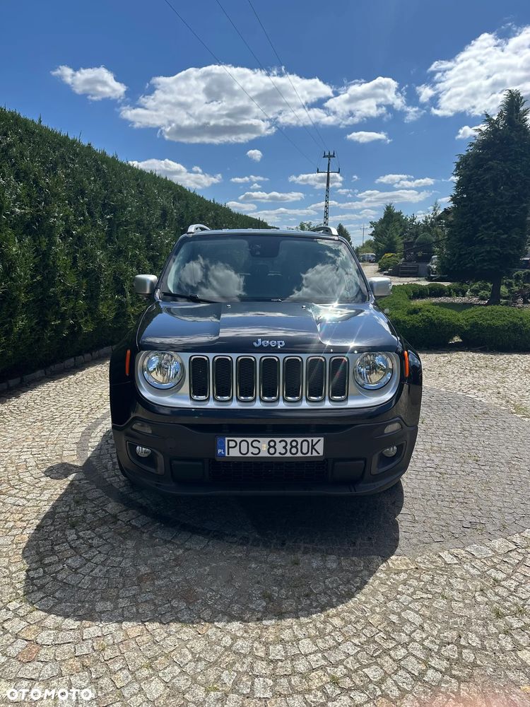 Jeep Renegade 1.6 MultiJet Limited Adventure Edition - 2