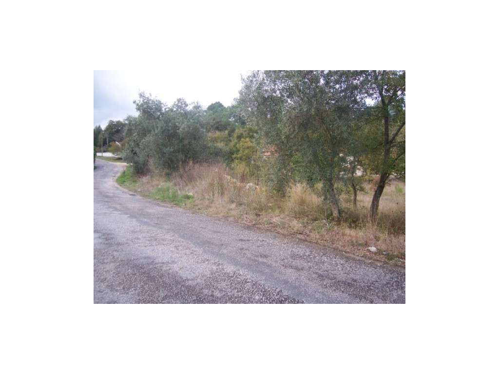 Terreno para construção Azoio -Pedreiras - Grande imagem: 5/5