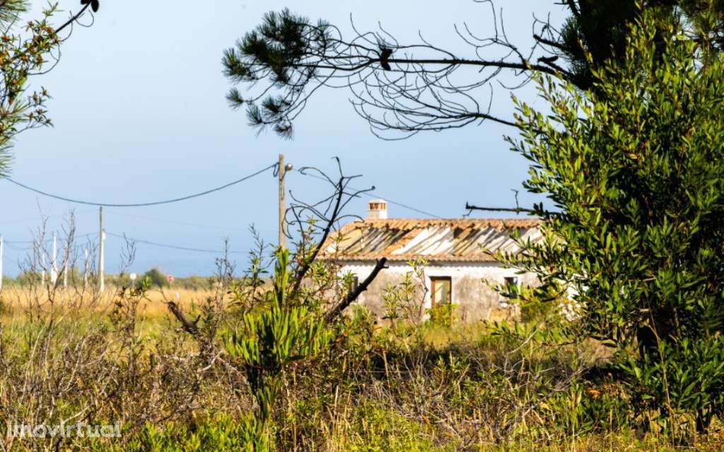 Quintinha T3 Sobranceira ao Mar - Grande imagem: 3/17