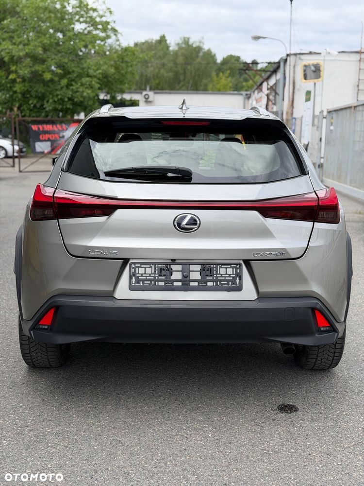 Lexus UX 250h GPF Prestige 2WD - 5