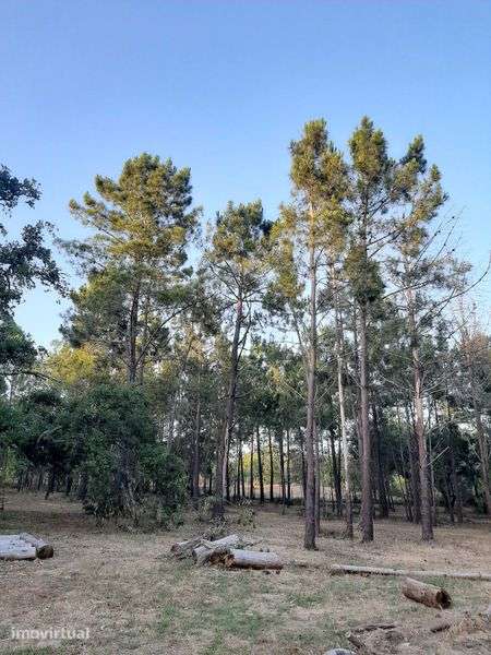 Terreno para mobilhome