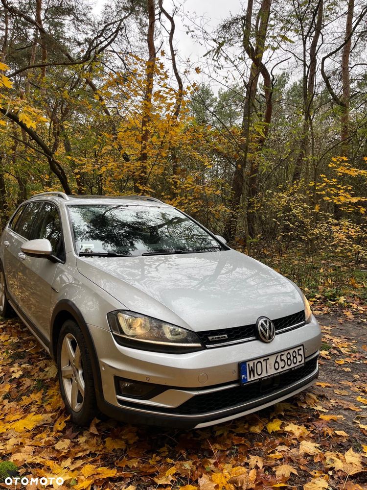 Volkswagen Golf Alltrack - 2