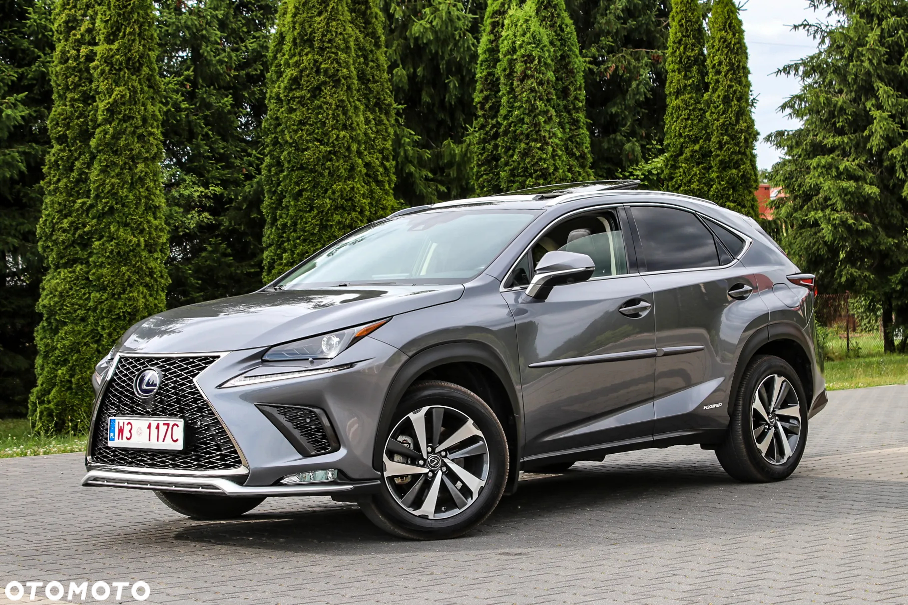 Lexus NX 350h Prestige AWD - 4
