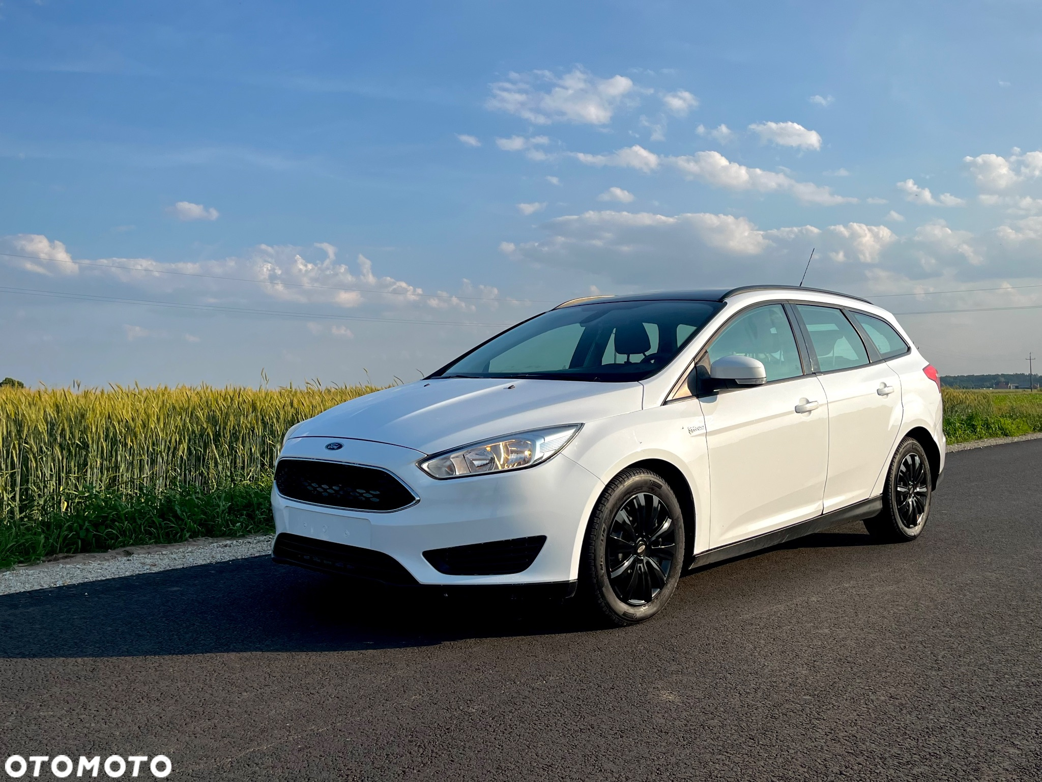 Ford Focus 1.6 TDCi DPF Start-Stopp-System SYNC Edition - 30