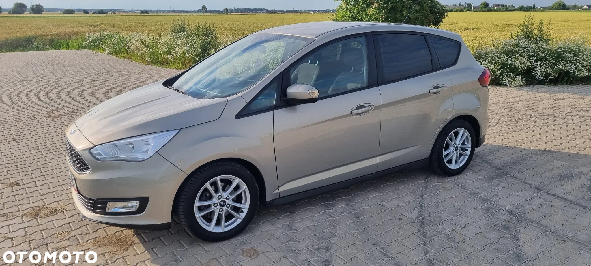 Ford C-MAX 1.5 TDCi Econetic Start-Stop-System Business Edition - 13