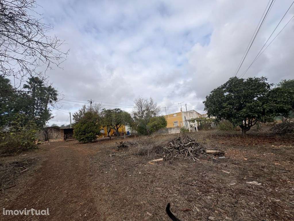 Moradia isolada V3 com Terreno de 6.661m², Loulé, Algarve - Grande imagem: 5/35