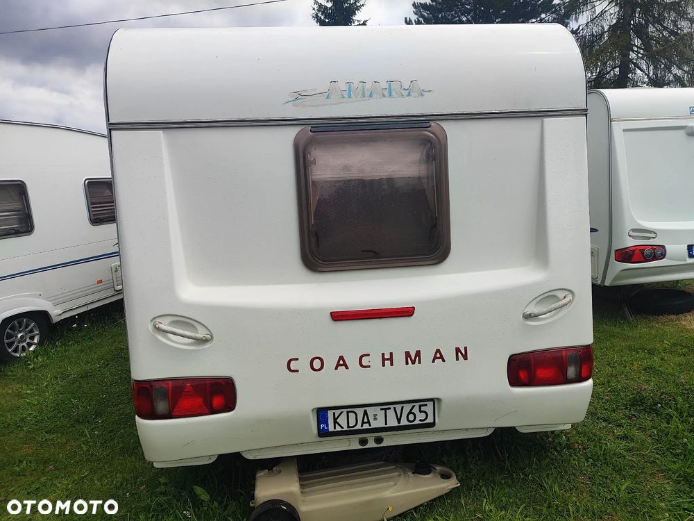 Coachman Amara - 11