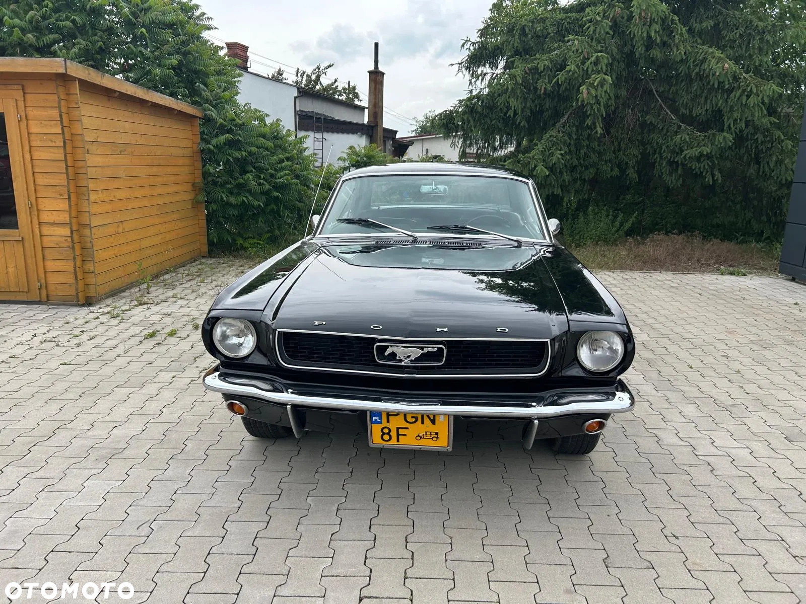 Ford Mustang - 11