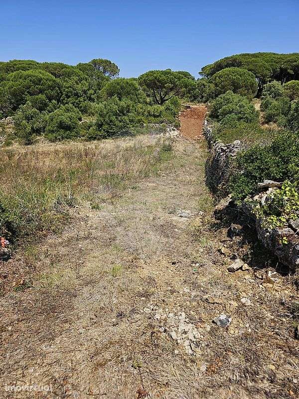 Terreno  para venda - Grande imagem: 4/8