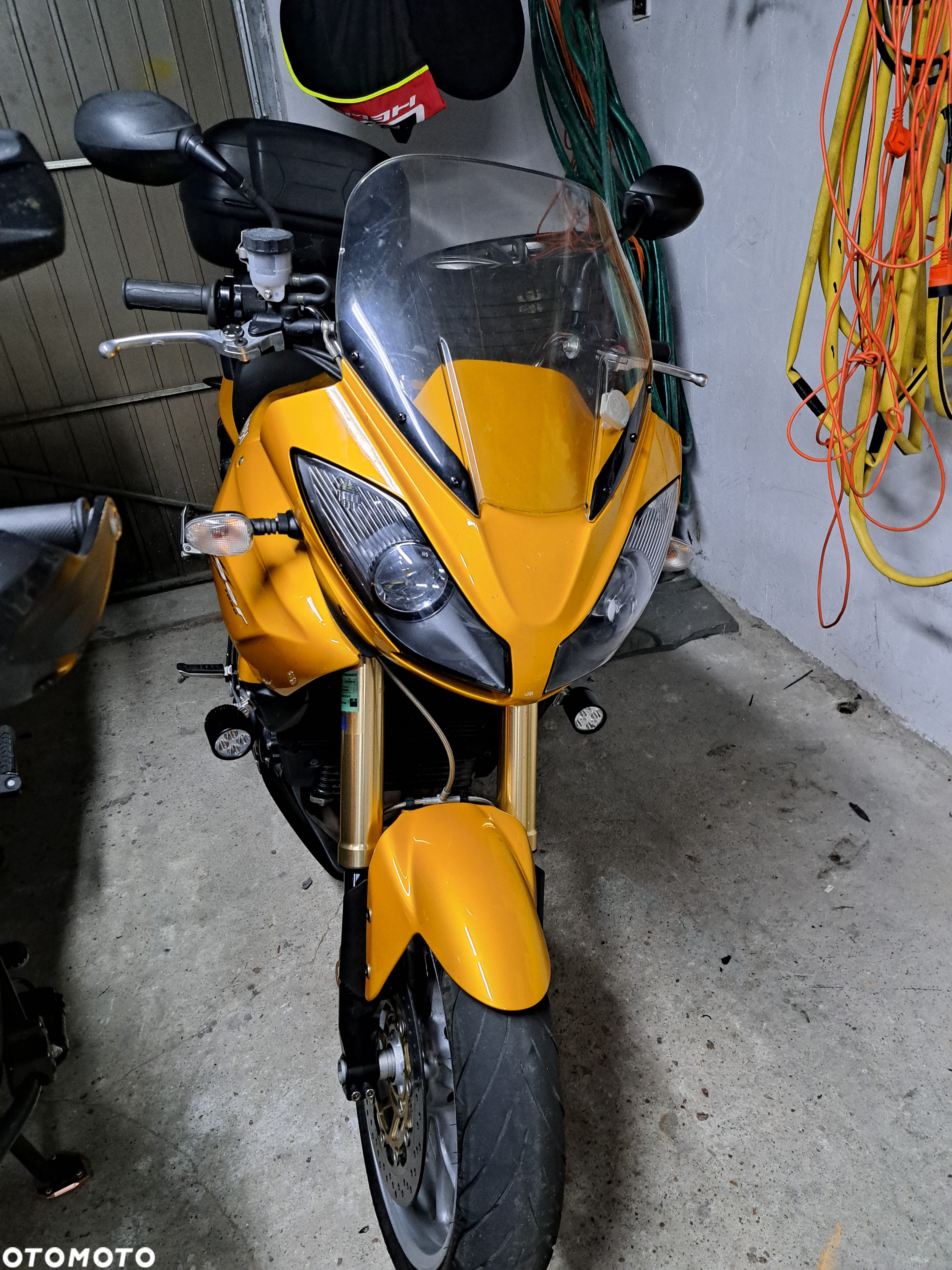 Triumph Tiger - 11