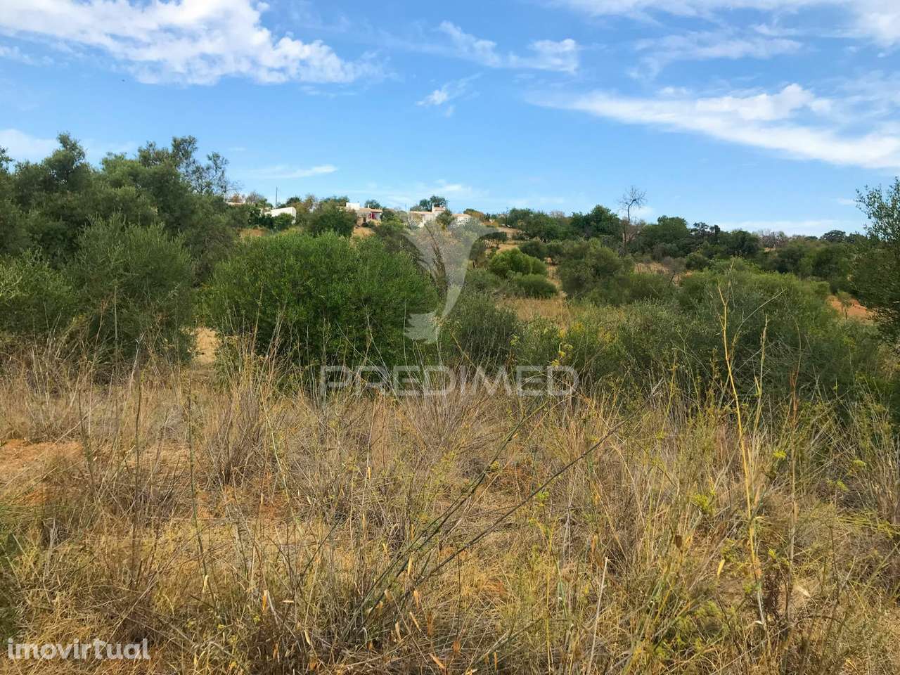 Terreno Rustico Caliços-Olhão - Grande imagem: 2/4