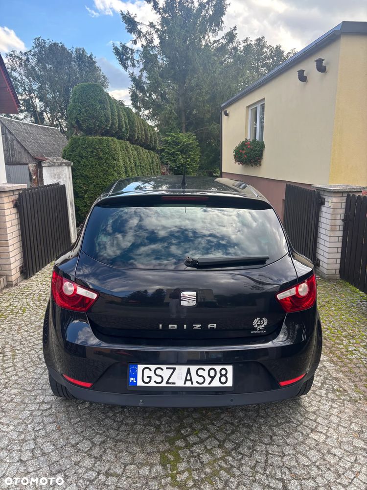 Seat Ibiza 2011 photo 5