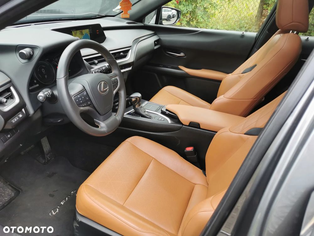 Lexus UX 250h - 10