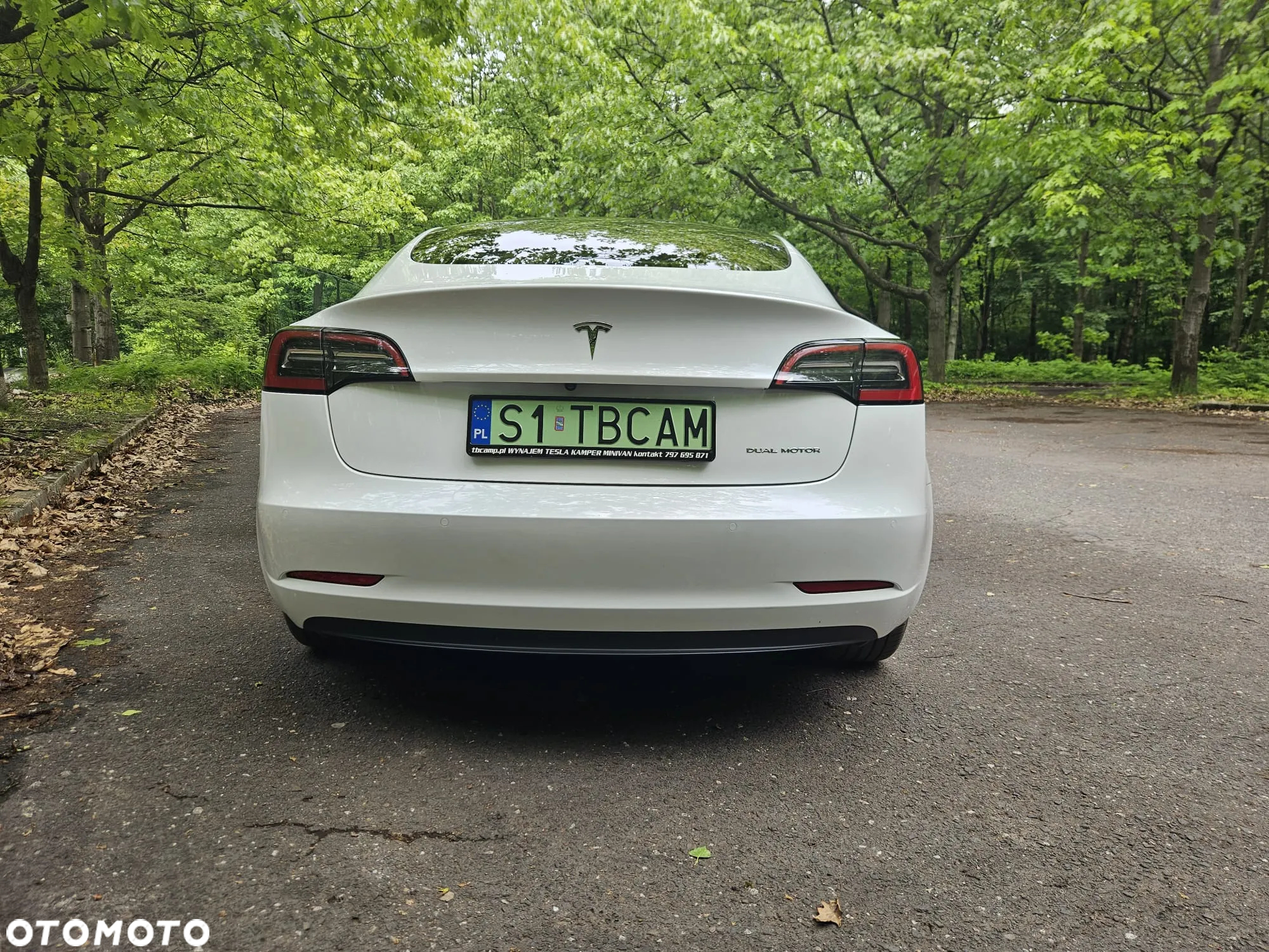 Tesla Model 3 Performance AWD - 6