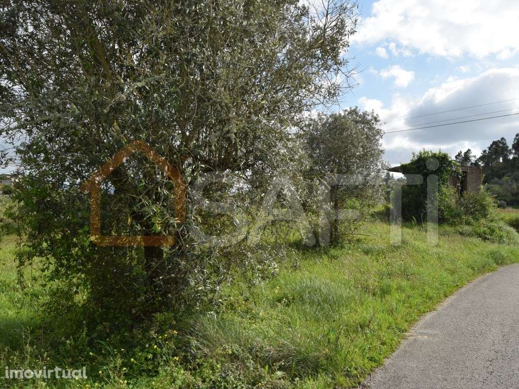 Terreno Rústico construível, com 2510m2, em Portela do Gato, Coimbra - Grande imagem: 3/21
