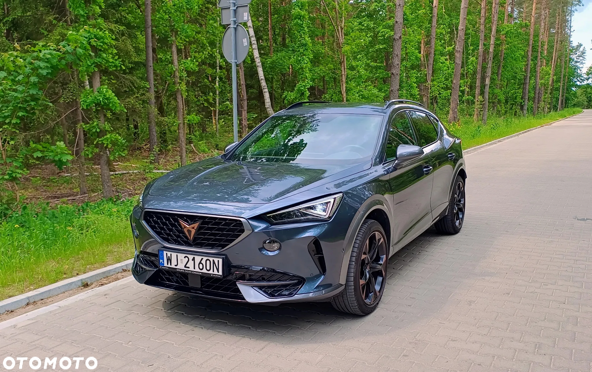 Cupra Formentor 2.0 TDI 4Drive DSG - 2