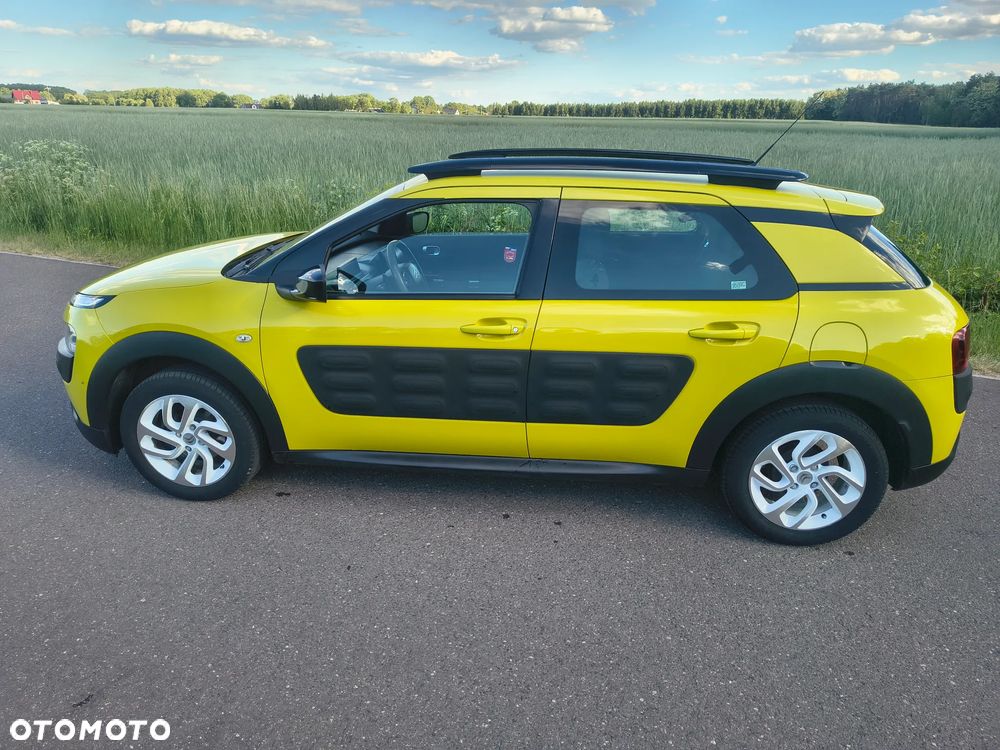 Citroën C4 Cactus 1.2 PureTech Shine Edition S&S ETG - 8