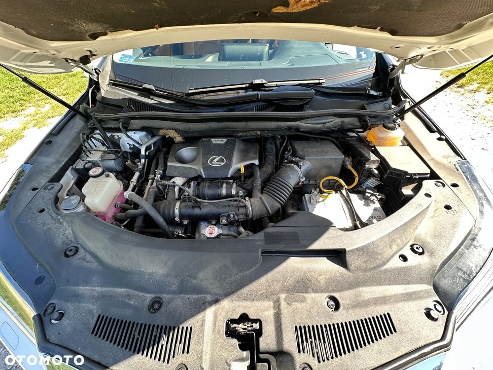 Lexus RX - 15
