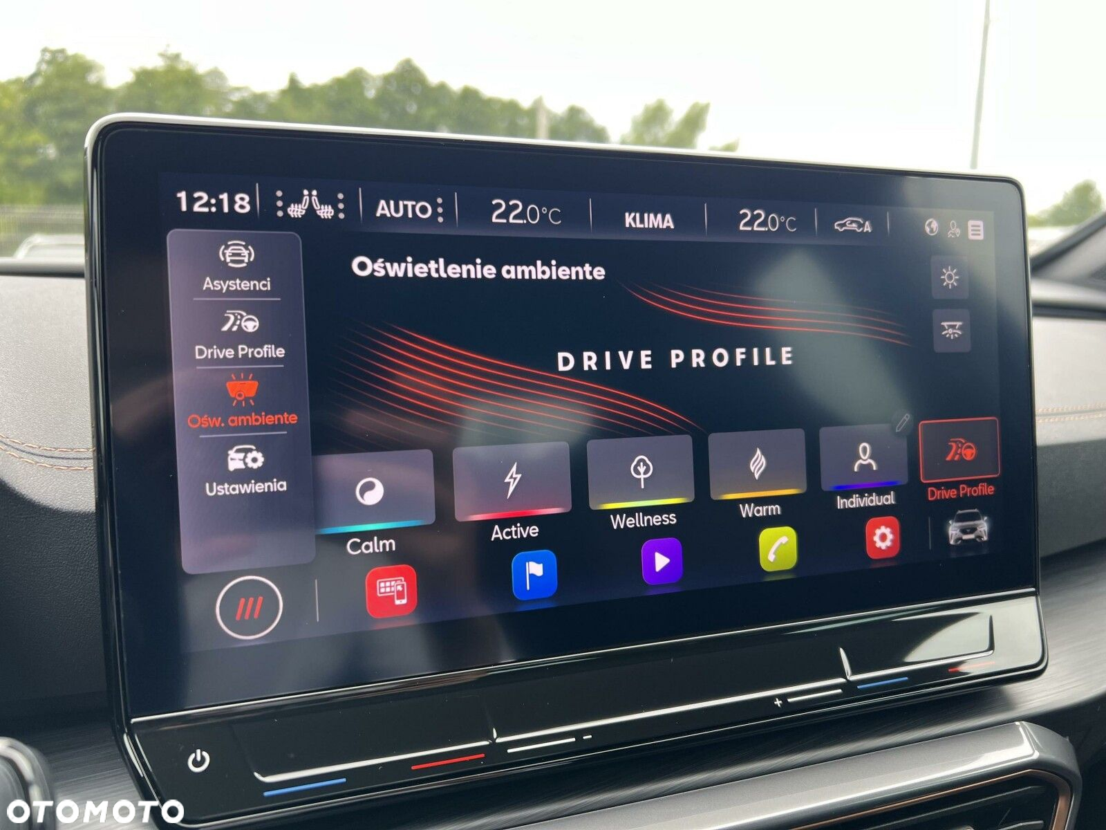 Cupra Formentor 2.0 TSI 4Drive VZ DSG - 36