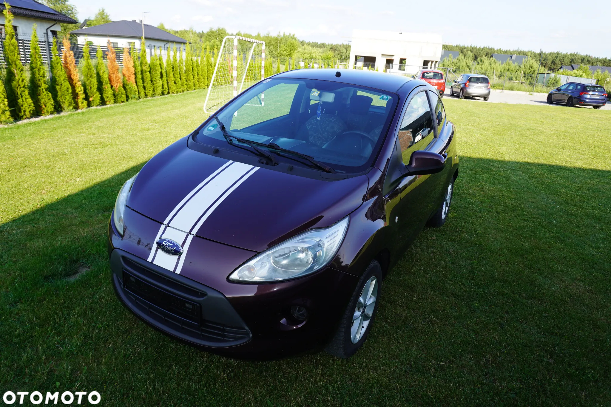 Ford KA 1.2 Start-Stopp-System Champions Edition - 16