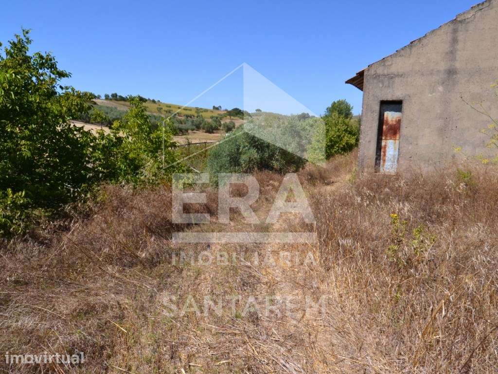 Dois terrenos com uma área total de 8.000 m² - Grande imagem: 4/13