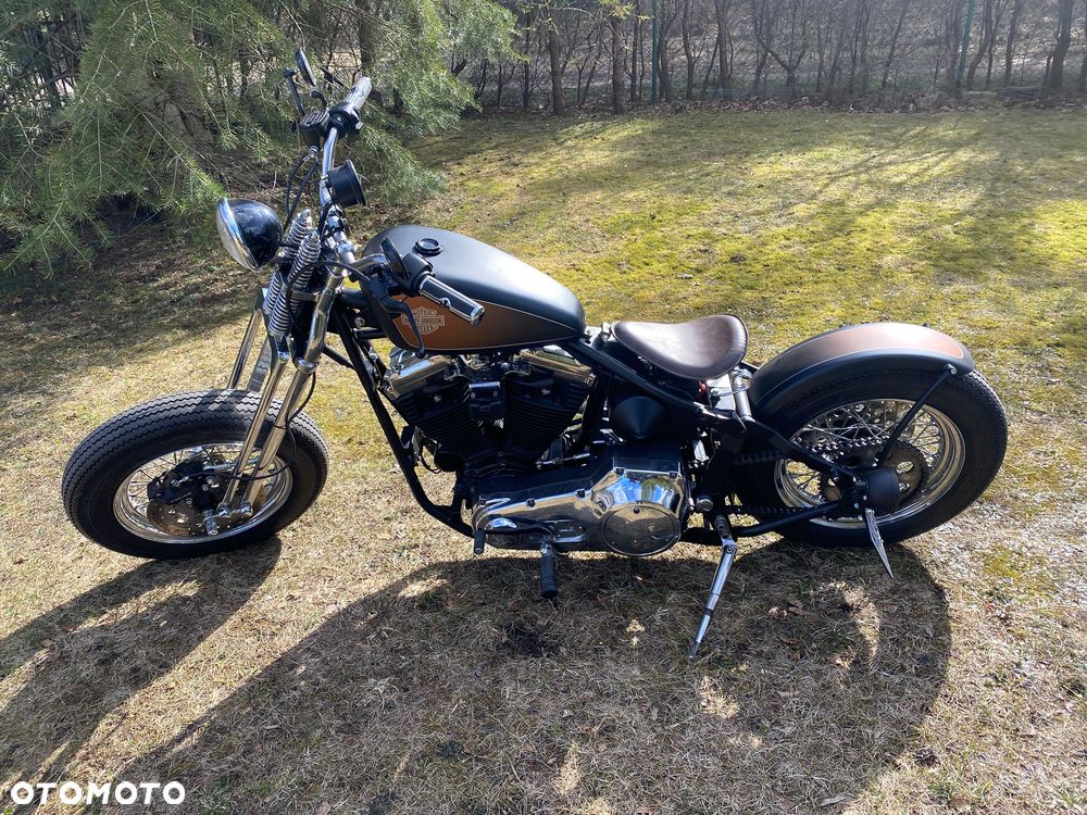 Harley-Davidson Inny - 12