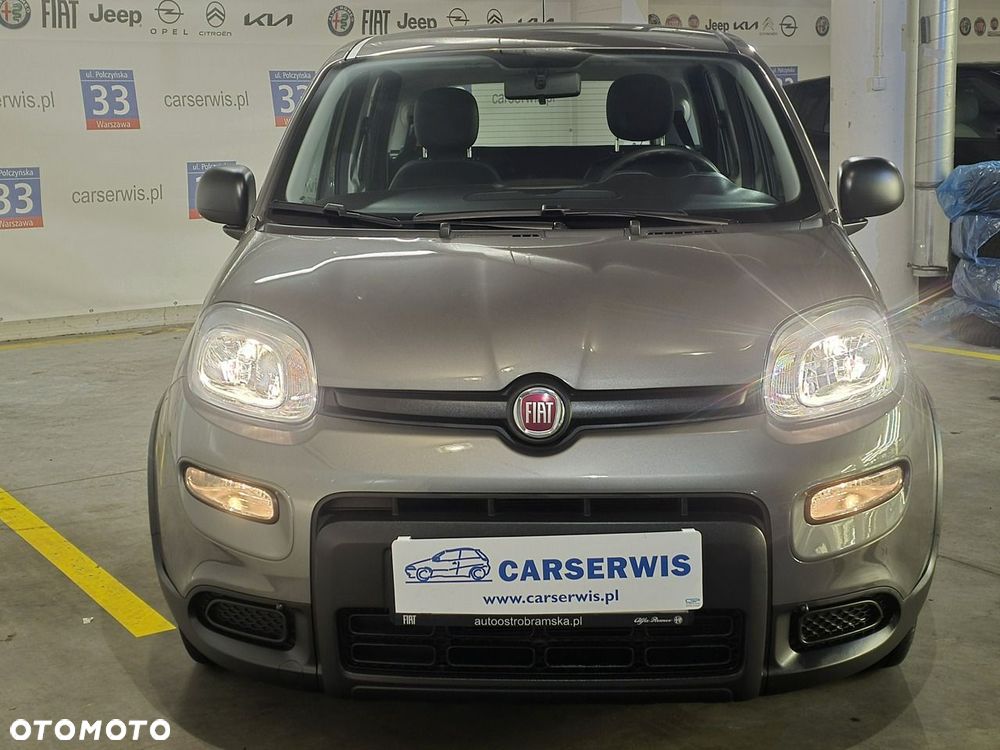 Fiat Panda - 2