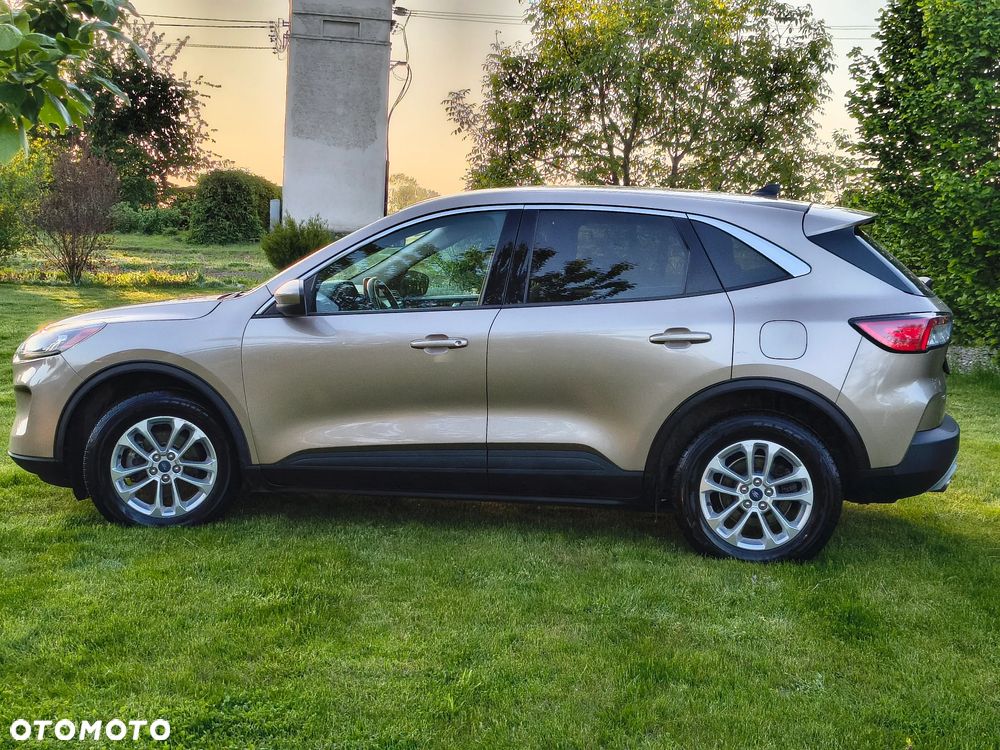 Ford Escape - 10