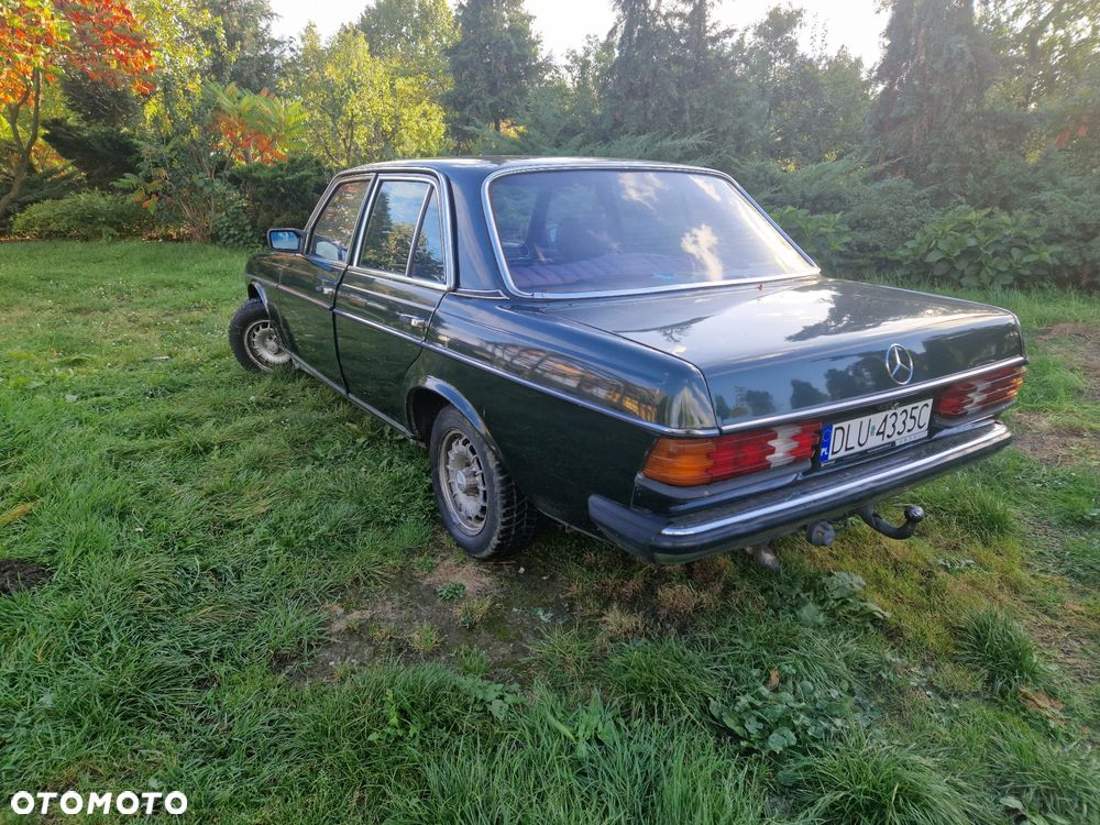 Mercedes-Benz W123 - 24