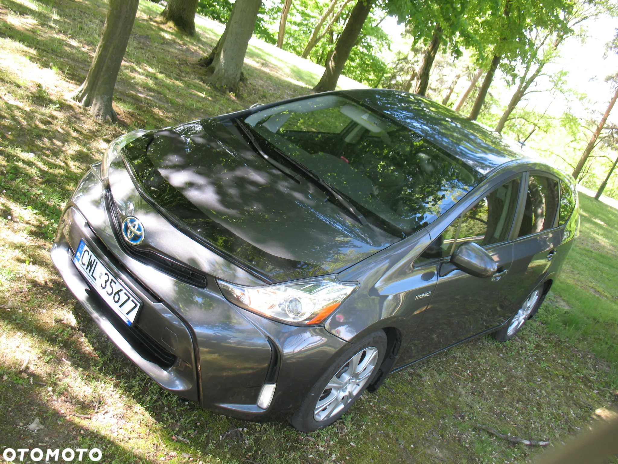 Toyota Prius+ (Hybrid) - 5