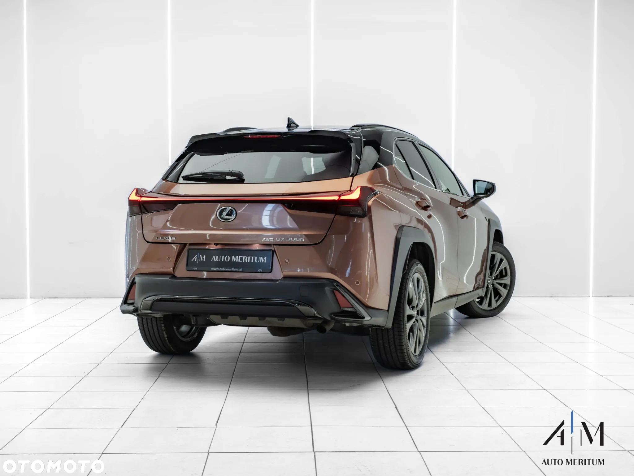 Lexus UX 300h F Sport Design AWD - 4