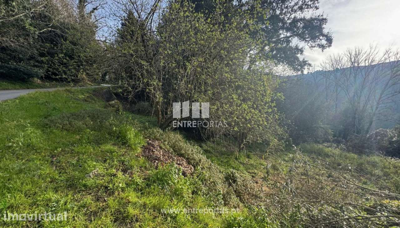 Venda Terreno, Loivos da Ribeira e Tresouras, Baião - Grande imagem: 2/29